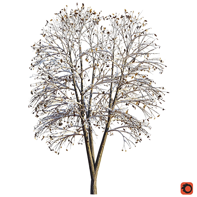 Winter Wonderland: Snow Tree 2 3D model image 1