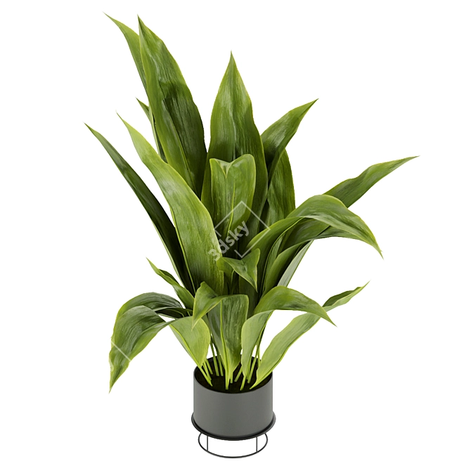 Indoor Banana Leaf Plant Collection - Vol. 329 3D model image 2