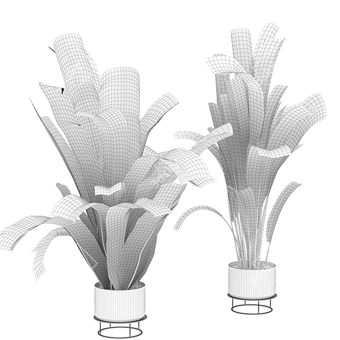 Indoor Banana Leaf Plant Collection - Vol. 329 3D model image 4