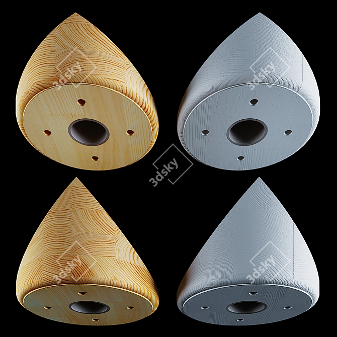 Title: Skosh L1: Stylish Ceiling Slope Mount 3D model image 2