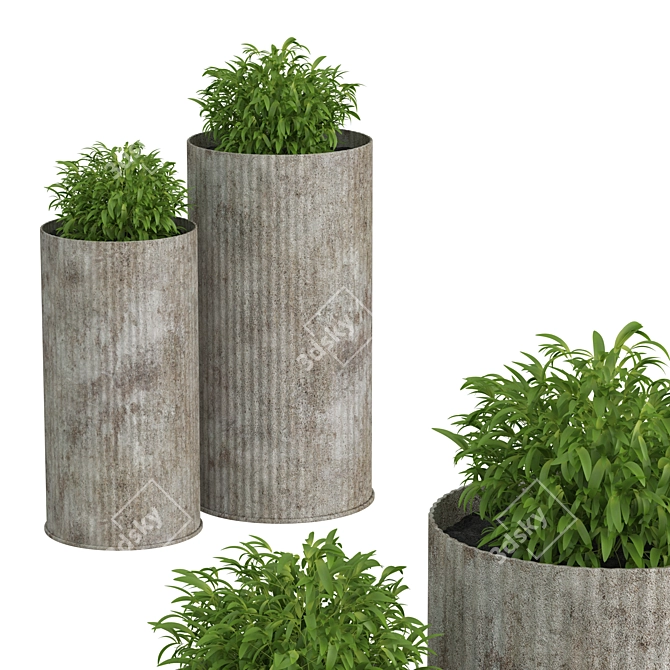 Double Greenery in Oversized Pots 3D model image 2