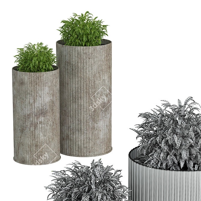 Double Greenery in Oversized Pots 3D model image 3