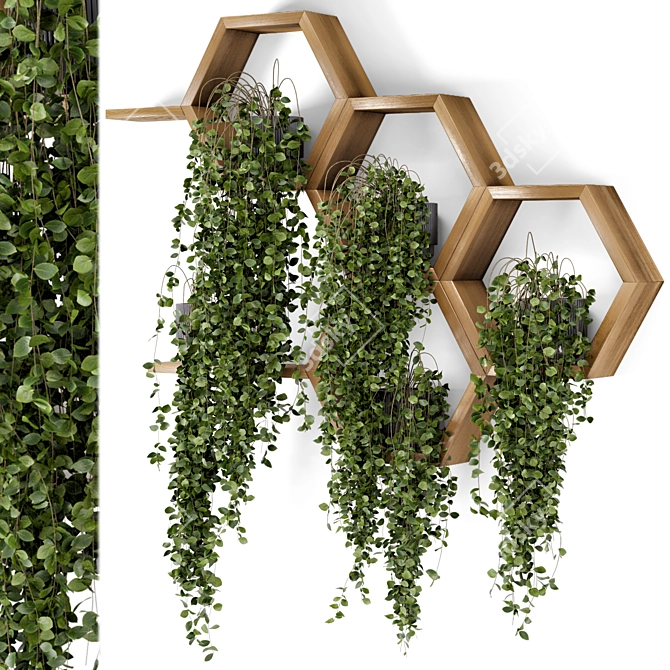 Concrete Pot Hanging Plants Set 3D model image 1