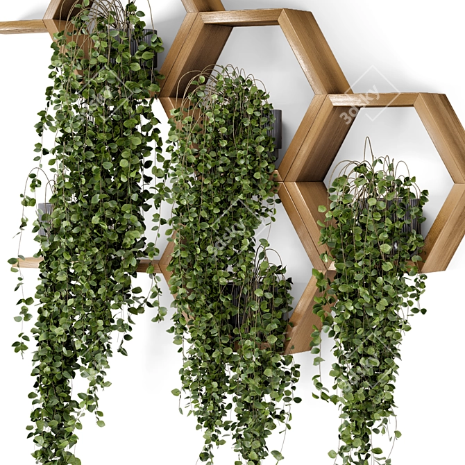 Concrete Pot Hanging Plants Set 3D model image 2