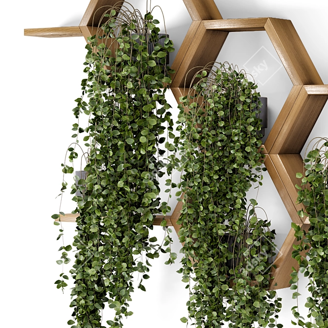 Concrete Pot Hanging Plants Set 3D model image 3