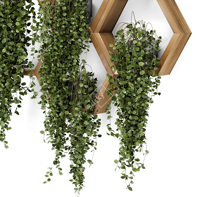 Concrete Pot Hanging Plants Set 3D model image 4