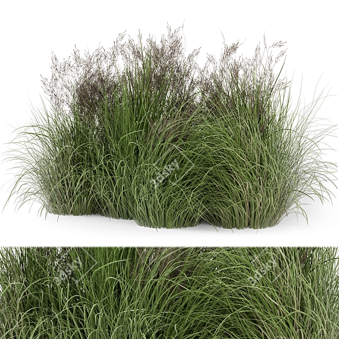 Outdoor Plants Set - Bush-Bush 566 3D model image 1