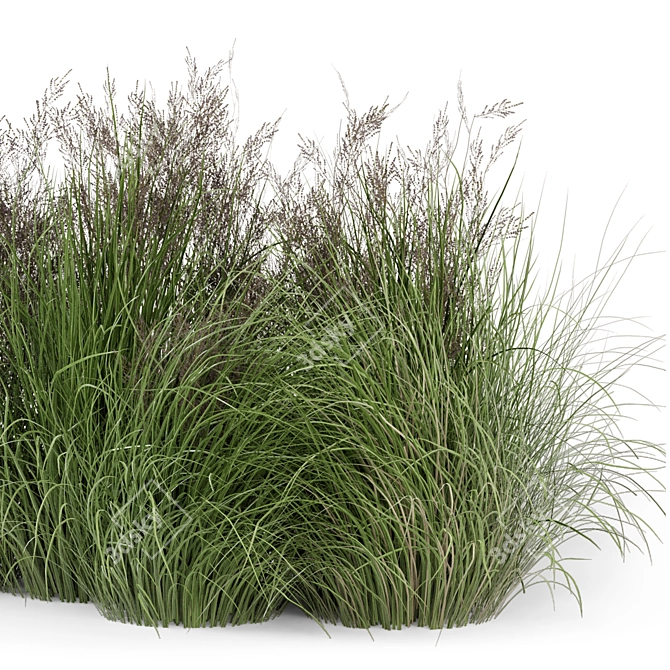 Outdoor Plants Set - Bush-Bush 566 3D model image 3