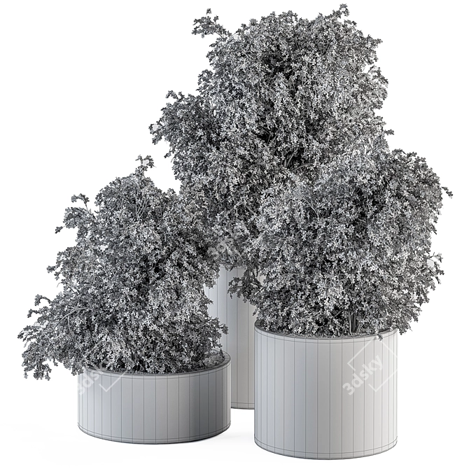 372 Indoor Plant Set: Bush & Plant in Pot 3D model image 5
