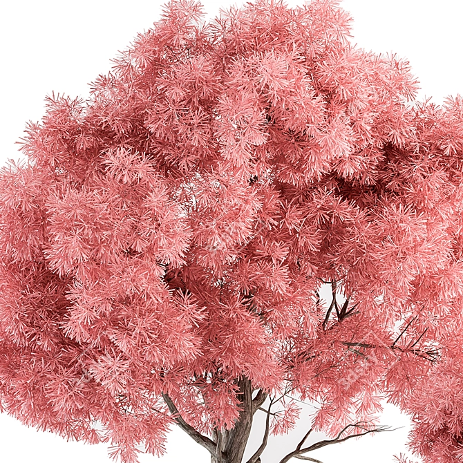 Pretty in Pink Outdoor Plant Set 3D model image 2