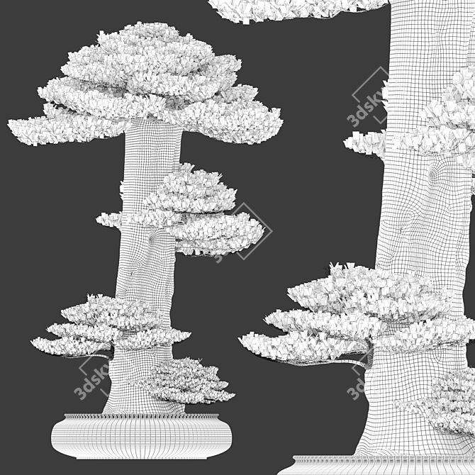 Exquisite Bonsai: 1.7m of Natural Beauty 3D model image 4