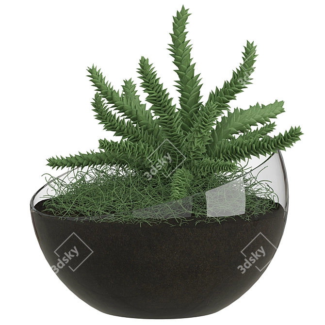 Spherical Glass Pot with Plant 3D model image 1