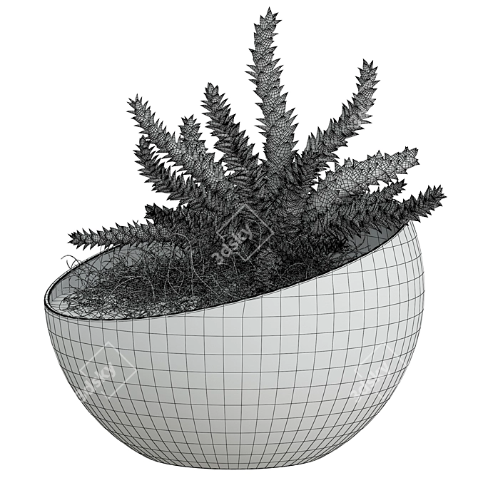 Spherical Glass Pot with Plant 3D model image 2