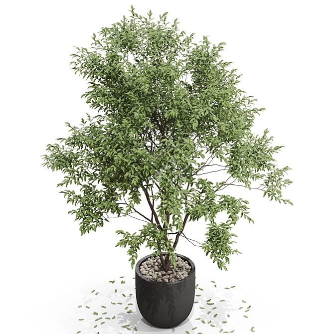 Botanical Bliss: 659 Green Beauties 3D model image 2