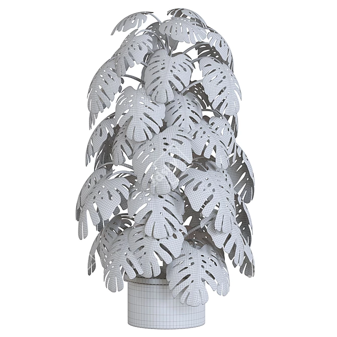 Tropical Monstera Indoor Plant 3D model image 2