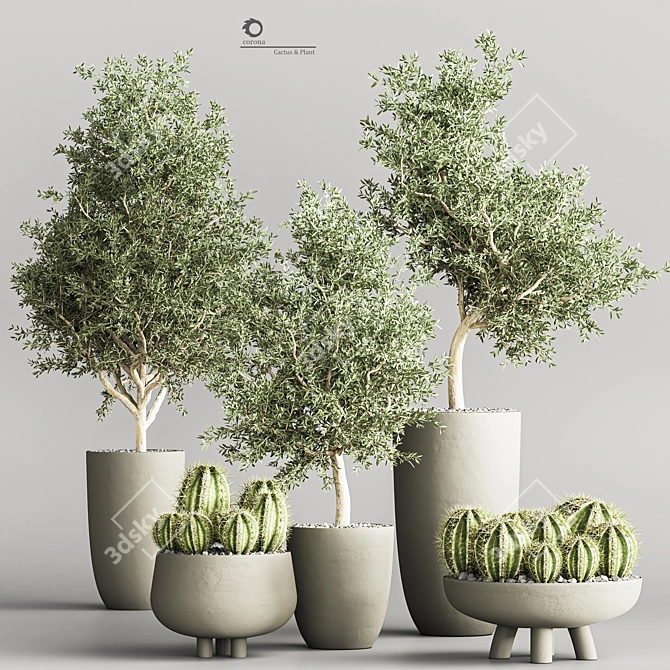 Cactus & Plant 04: Stylish Succulent Decor 3D model image 1