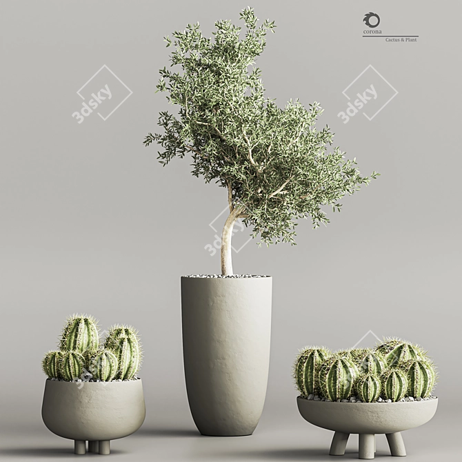 Cactus & Plant 04: Stylish Succulent Decor 3D model image 2
