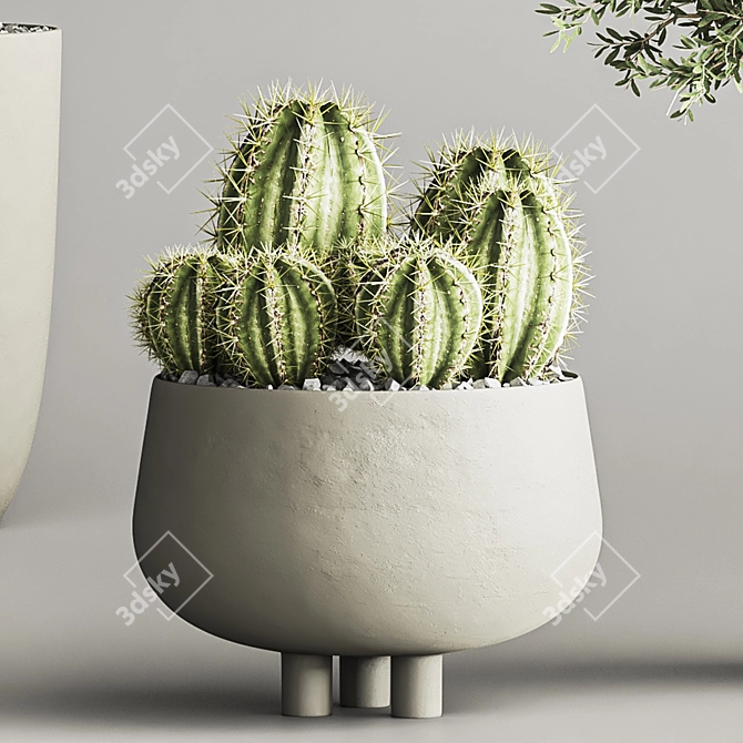 Cactus & Plant 04: Stylish Succulent Decor 3D model image 4