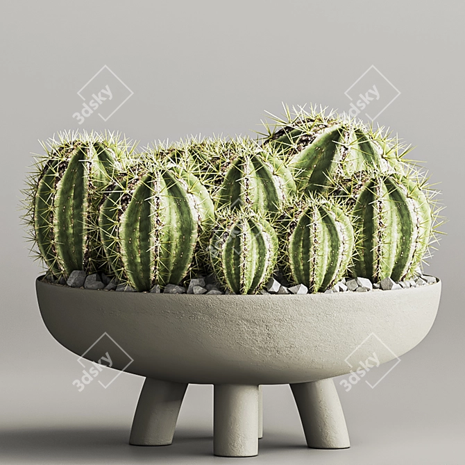 Cactus & Plant 04: Stylish Succulent Decor 3D model image 5