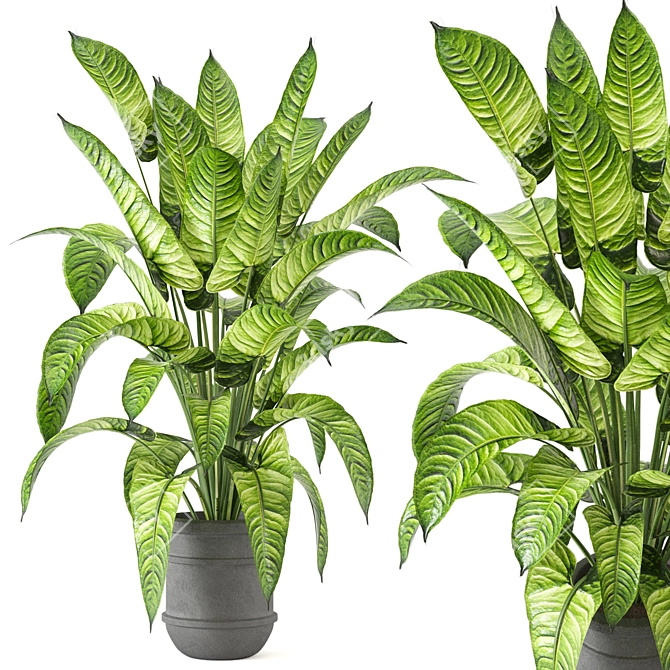 Lush Greens Indoor Plant Collection 3D model image 2