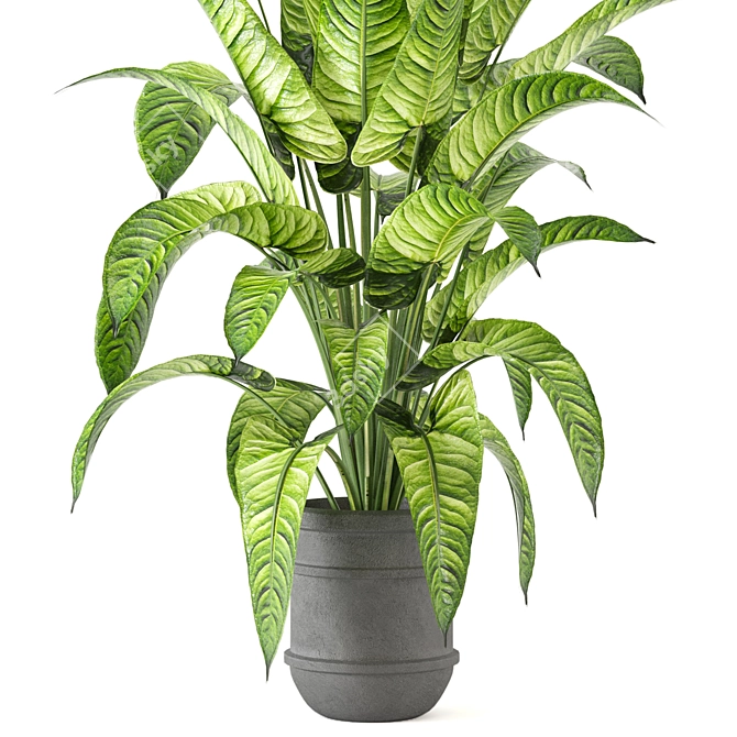 Lush Greens Indoor Plant Collection 3D model image 3