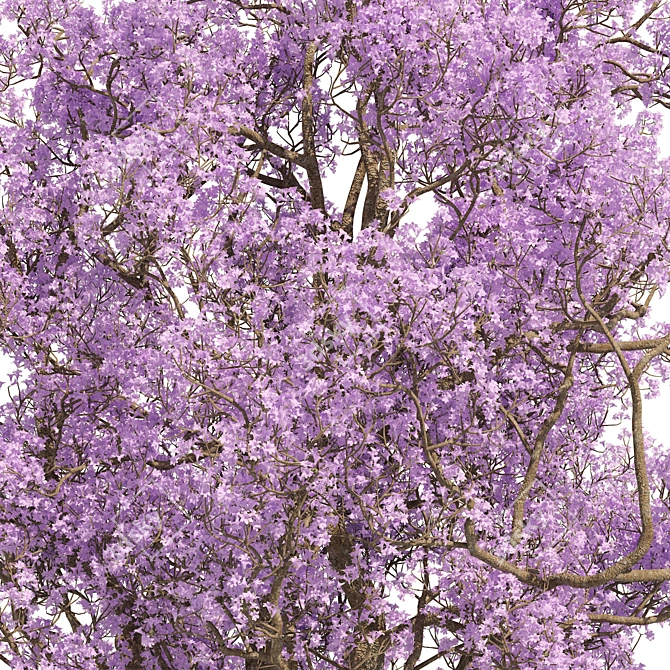 Vibrant Spring Blossom: 3D Purple Tree 3D model image 2