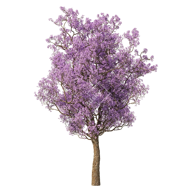 Vibrant Spring Blossom: 3D Purple Tree 3D model image 4