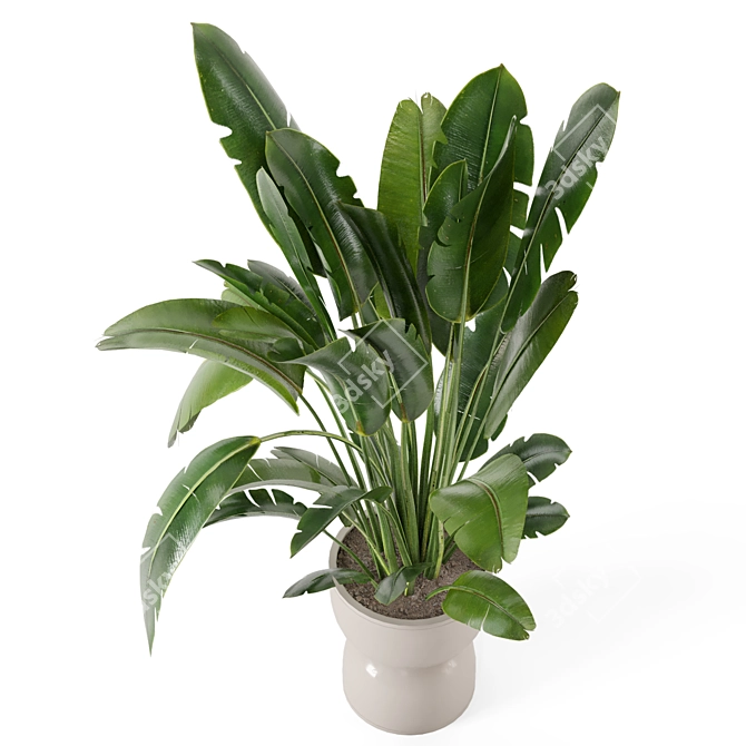 Rustic Concrete Pot Indoor Plants 3D model image 2