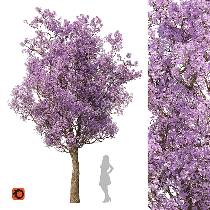 Spring Purple Tree: Highly Detailed 3D Model 3D model image 1