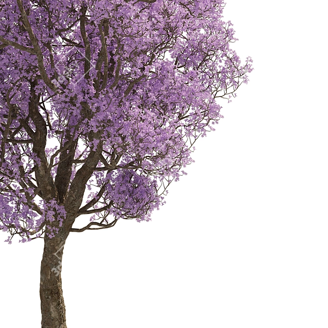 Spring Purple Tree: Highly Detailed 3D Model 3D model image 3