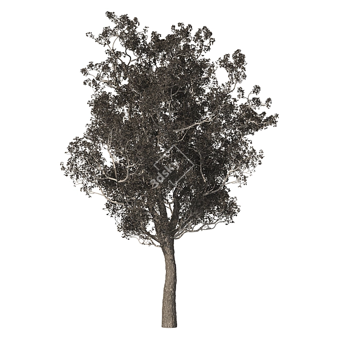 Spring Purple Tree: Highly Detailed 3D Model 3D model image 6