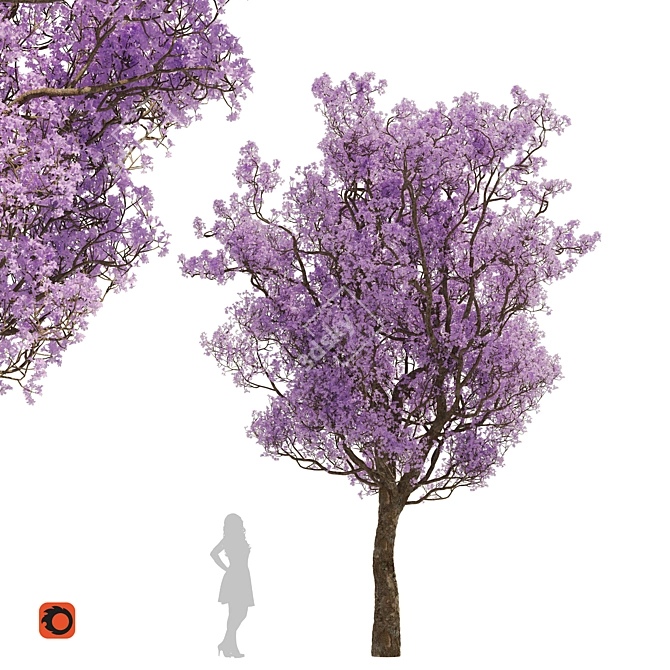 Spring Purple Tree: Highly Detailed 3D Model 3D model image 14