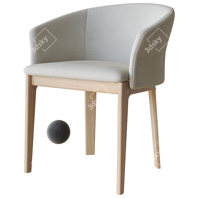 Modern Style Devon Chair 3D model image 1
