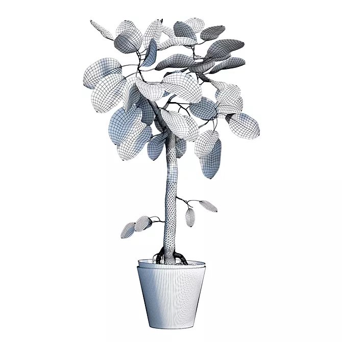 Exquisite Ficus Benghalensis Tree 3D model image 2