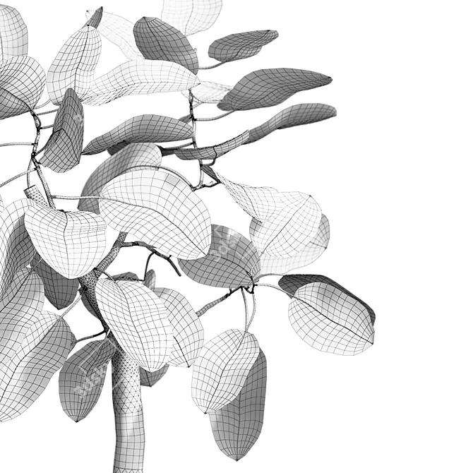 Exquisite Ficus Benghalensis Tree 3D model image 4