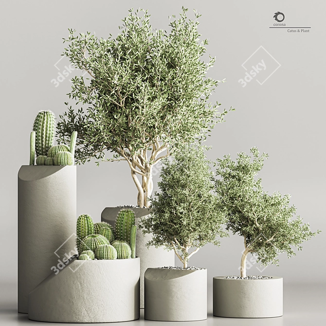 Stylish Indoor Cactus Stand 3D model image 1