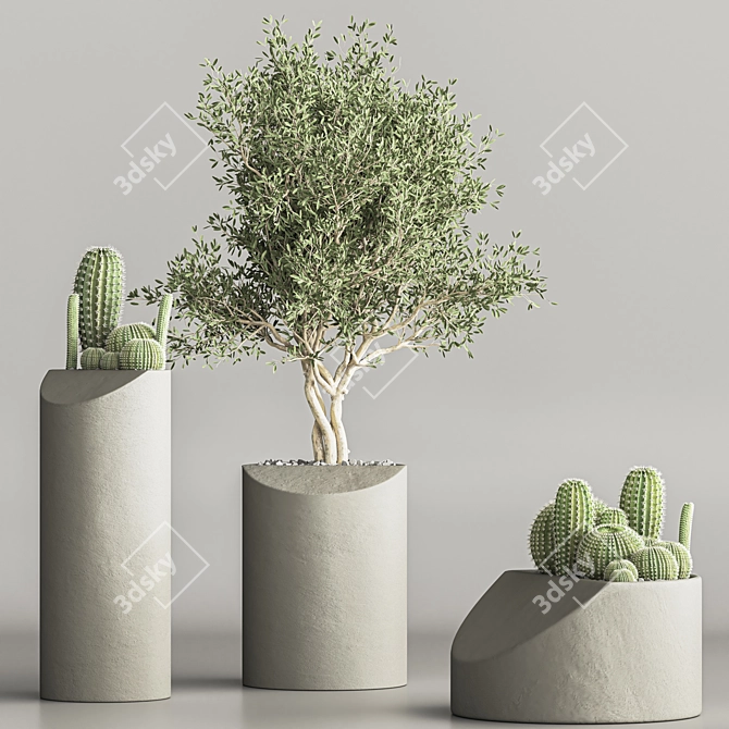 Stylish Indoor Cactus Stand 3D model image 3