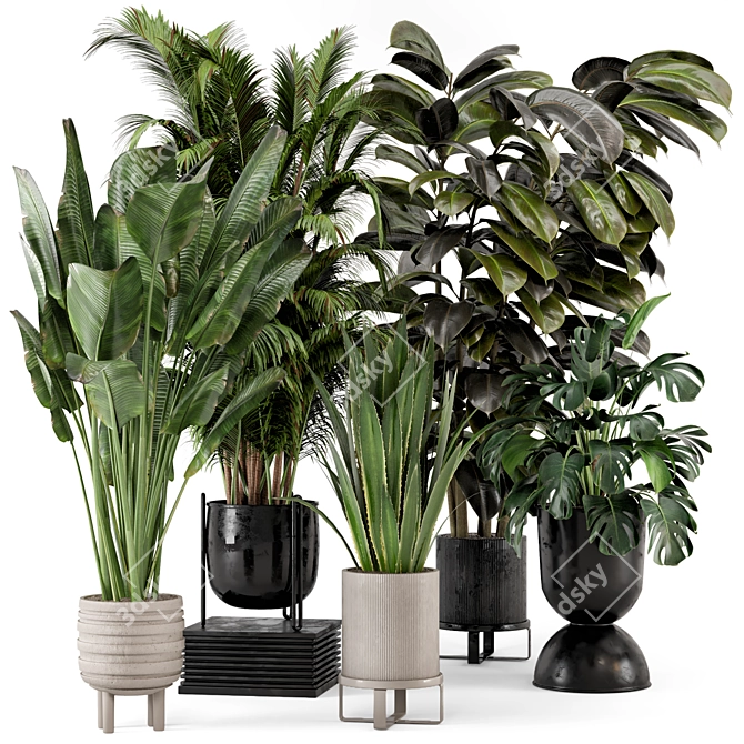 Ferm Living Indoor Plant Set 3D model image 1