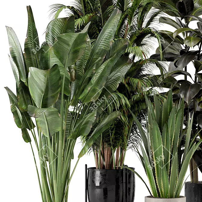 Ferm Living Indoor Plant Set 3D model image 2