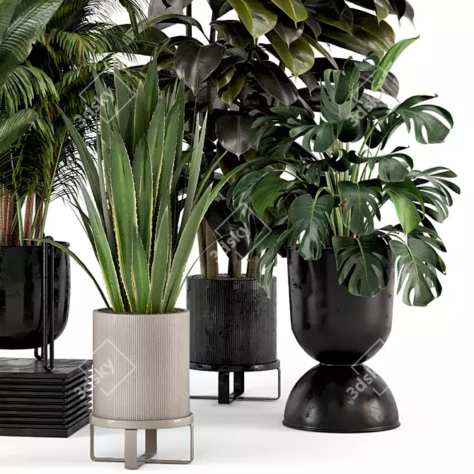 Ferm Living Indoor Plant Set 3D model image 4