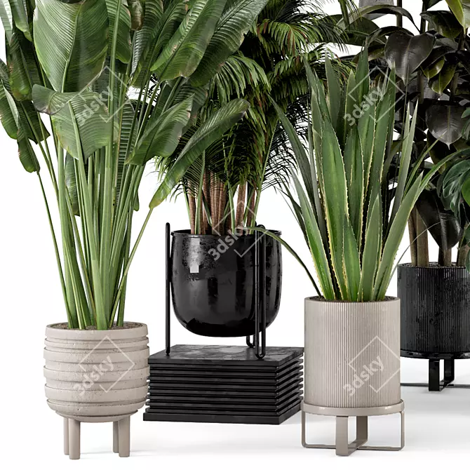 Ferm Living Indoor Plant Set 3D model image 5