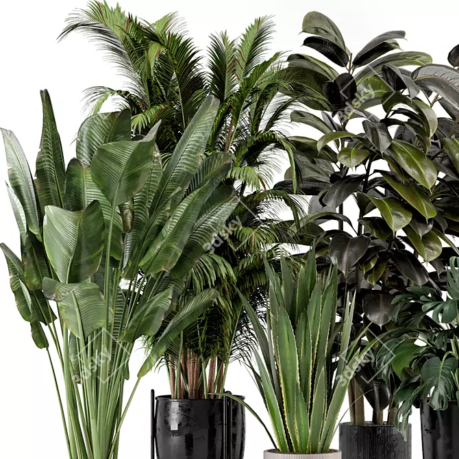 Ferm Living Indoor Plant Set 3D model image 6