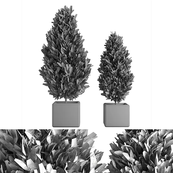 Lush Outdoor Plant Set 3D model image 2