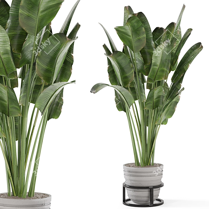 Rusty Concrete Pot Indoor Plants - Set 573 3D model image 1