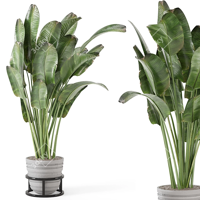 Rusty Concrete Pot Indoor Plants - Set 573 3D model image 2