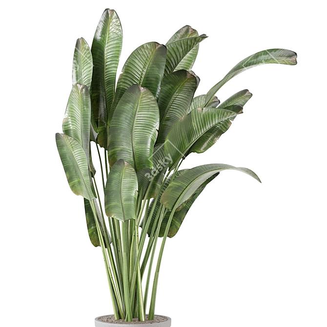 Rusty Concrete Pot Indoor Plants - Set 573 3D model image 4