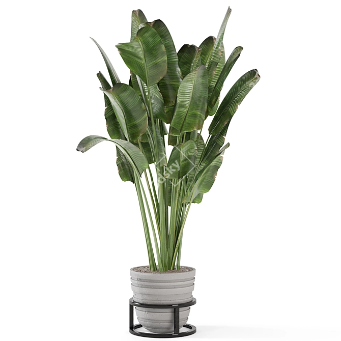 Rusty Concrete Pot Indoor Plants - Set 573 3D model image 6