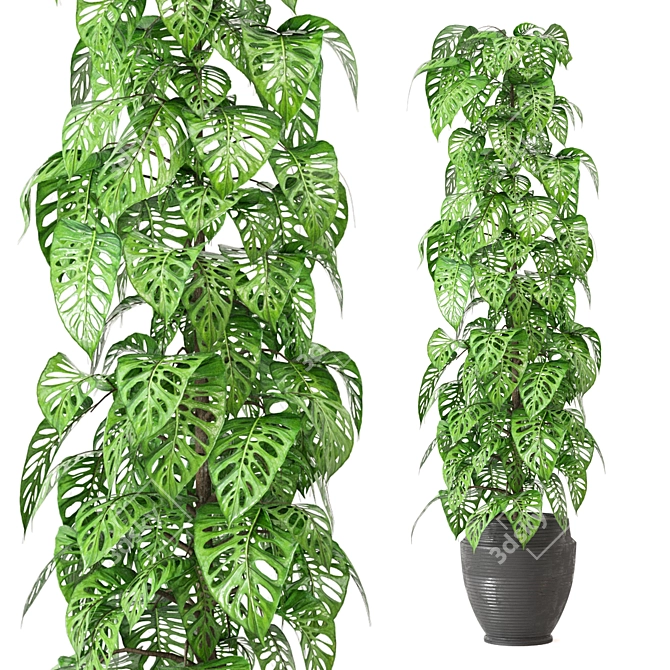 Indoor Plant Collection: Set 279 3D model image 1