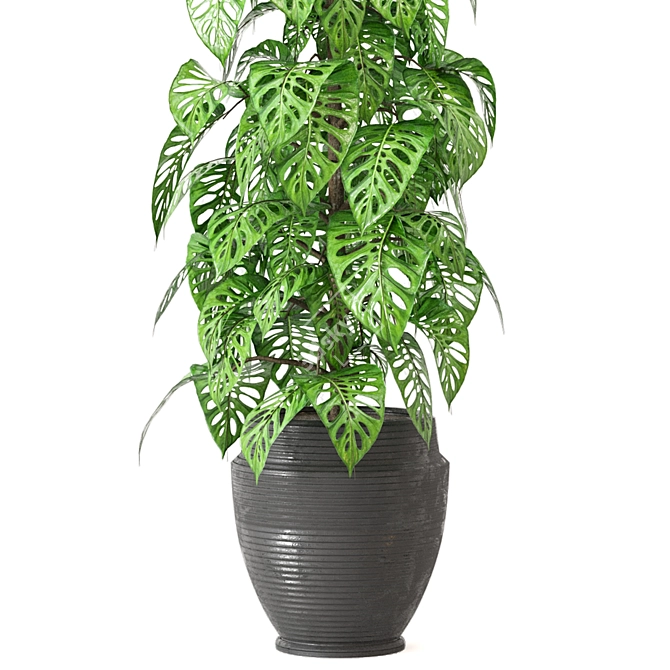 Indoor Plant Collection: Set 279 3D model image 2