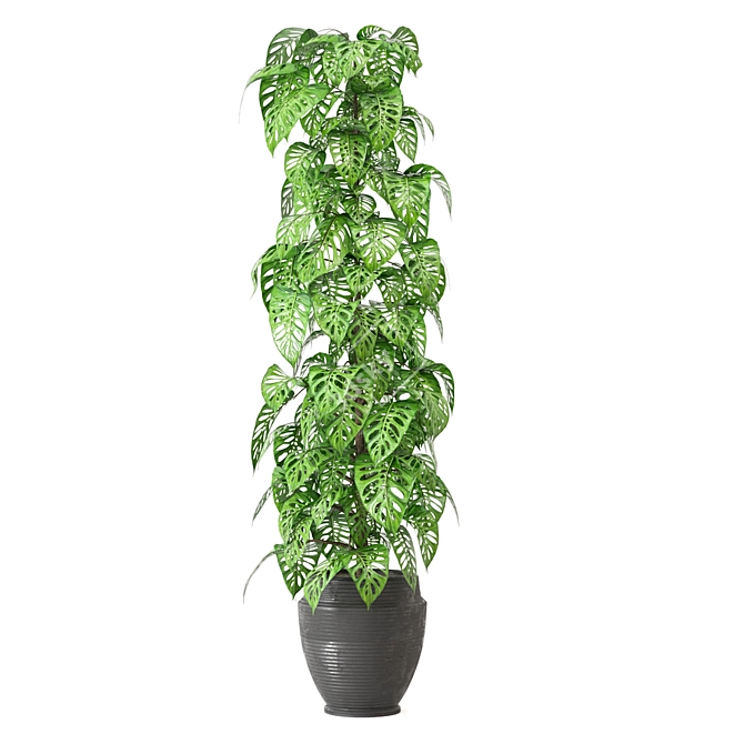 Indoor Plant Collection: Set 279 3D model image 4